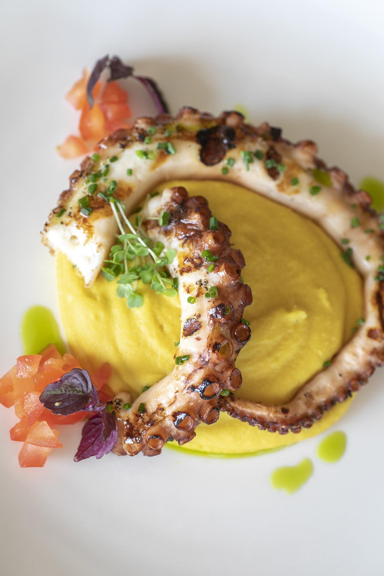戴奥斯尊享人生酒店 塞萨洛尼基 外观 照片 Grilled octopus with mashed potatoes